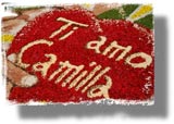 Infiorata Caldarola 2010